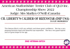 Class 12a - Ch. Liberty's Calibre of Rizenstar (Imp USA).png